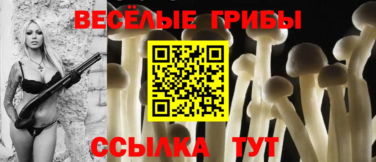 Корсаков  Галлюциногенные грибы Psilocybine cubensis  Вход с VPN 